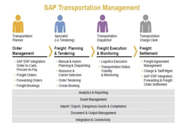 Optimize Your Logistics: SAP Transport Management System PDF Guide