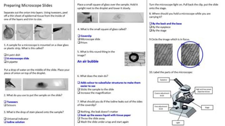 Scanning Electron Microscopy Q&A: Essential PDF Guide