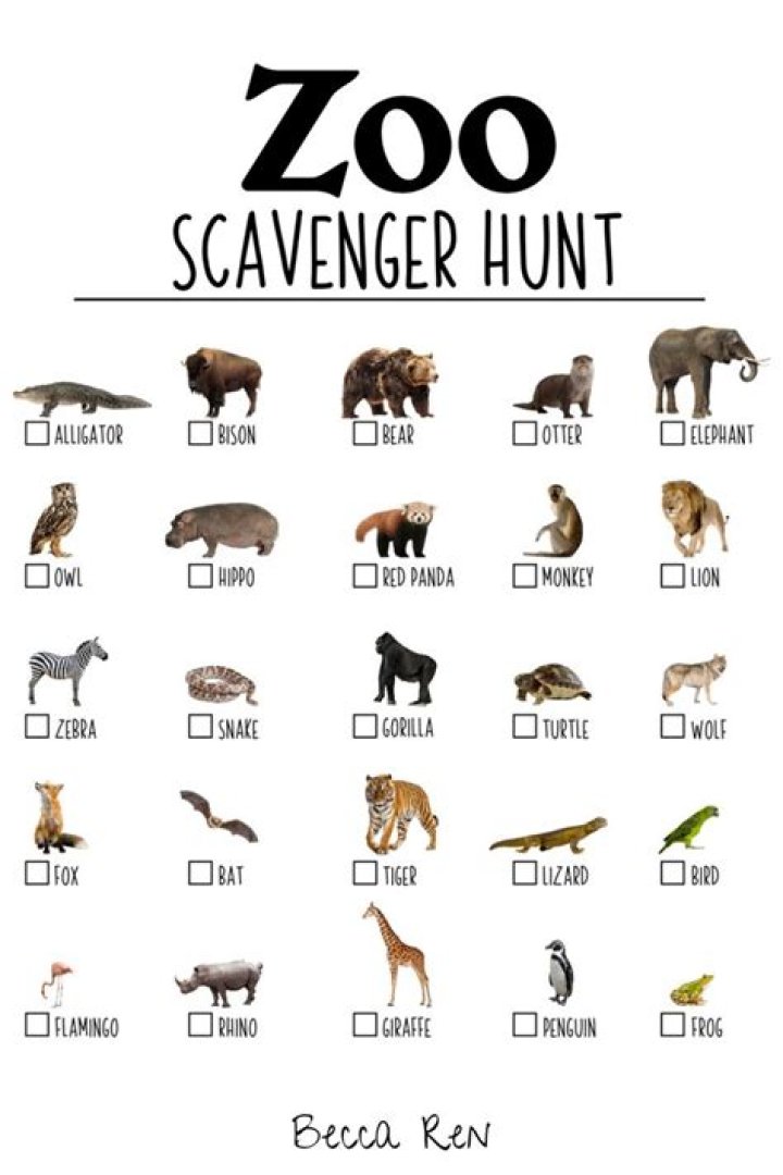 Scavenger Hunt Animal Park Answers PDF: Find & Collect Wildlife Clues