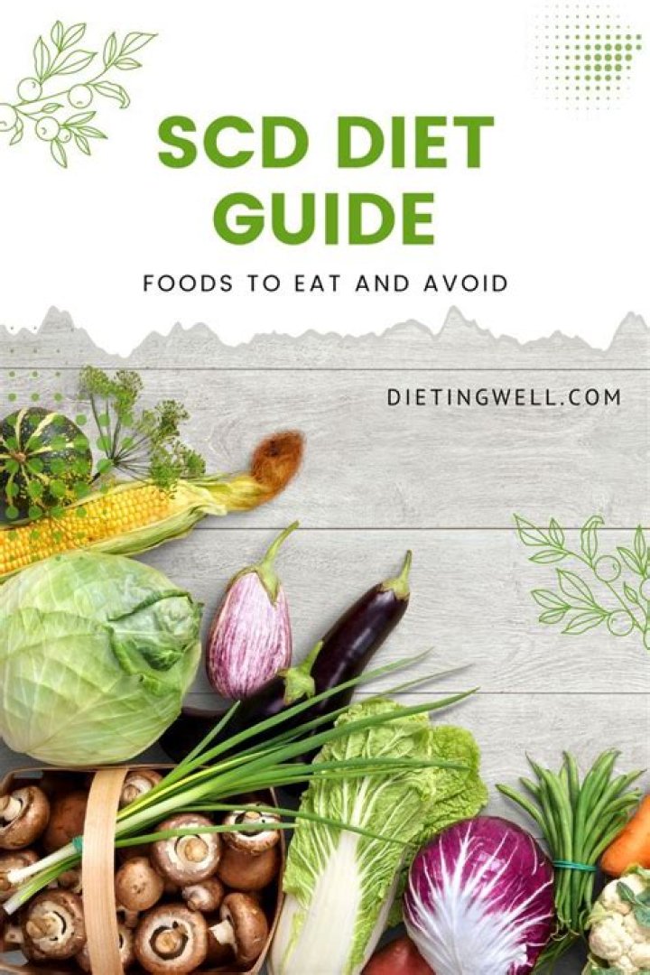 SCD Food List PDF: Easy Healthy Meal Plan