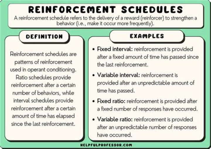 Free Reinforcement Schedules Examples with Answers PDF