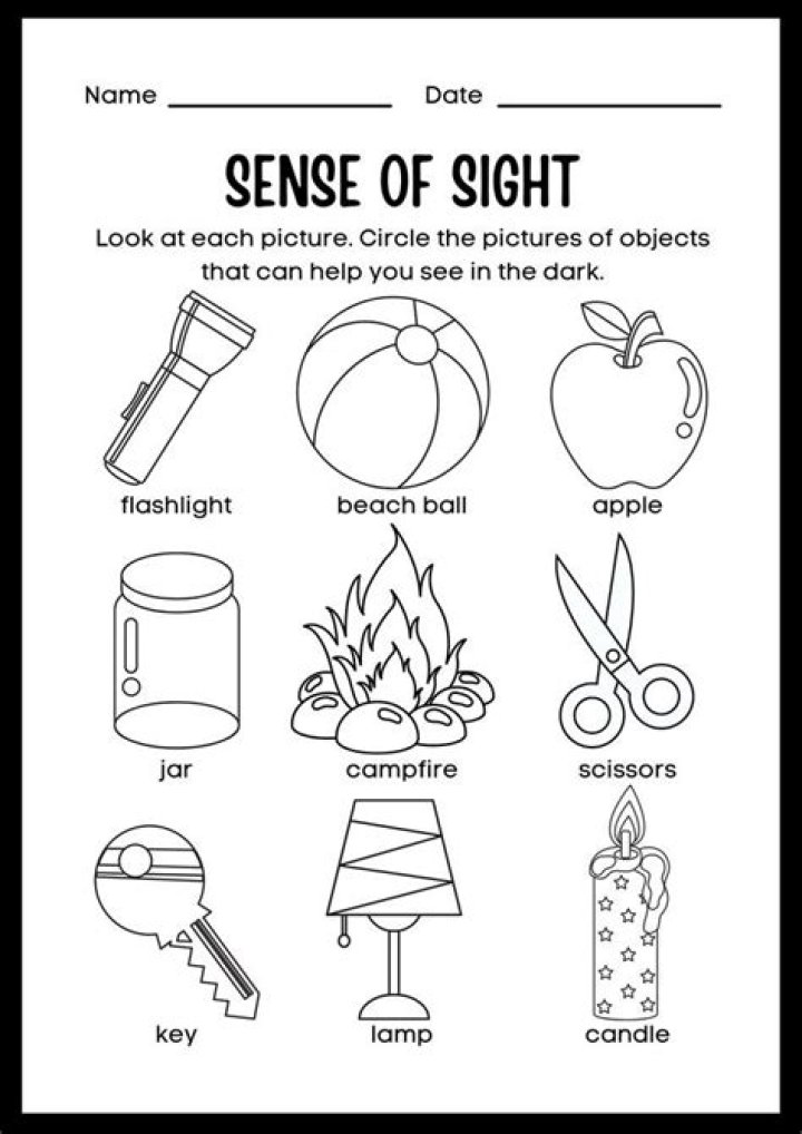 Science Worksheets for Kindergarten PDF – Free Printable Learning Fun