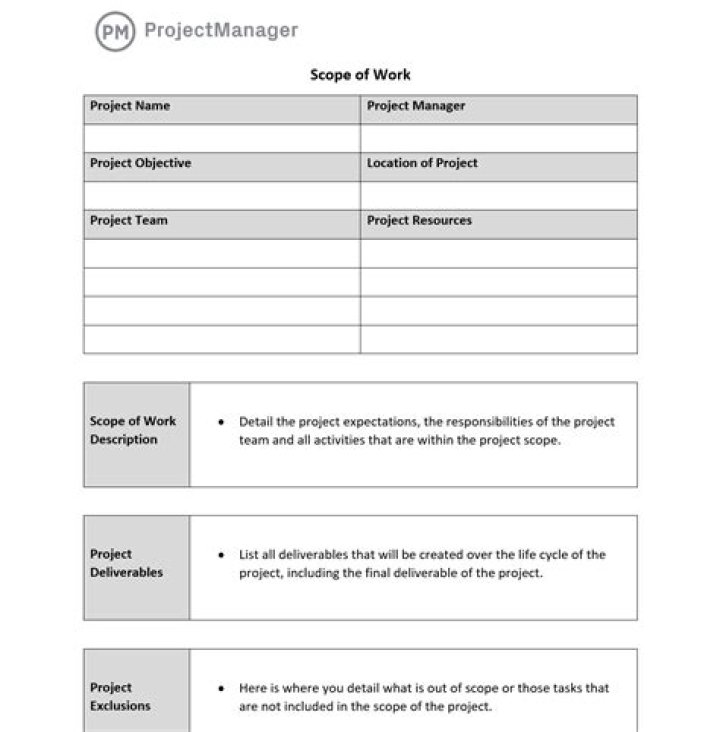 Comprehensive Scope of Management Audit PDF Guide