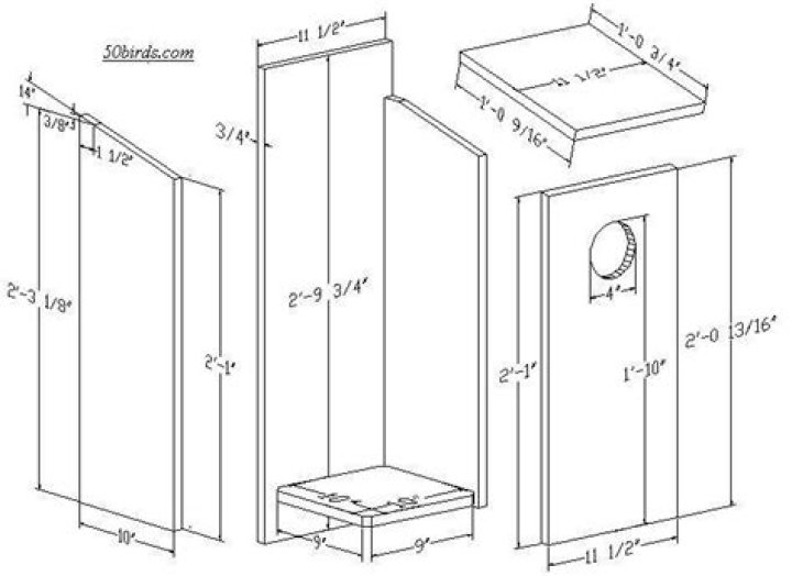 Screech Owl Box Plans PDF: Build Your Own Owl House with Ease