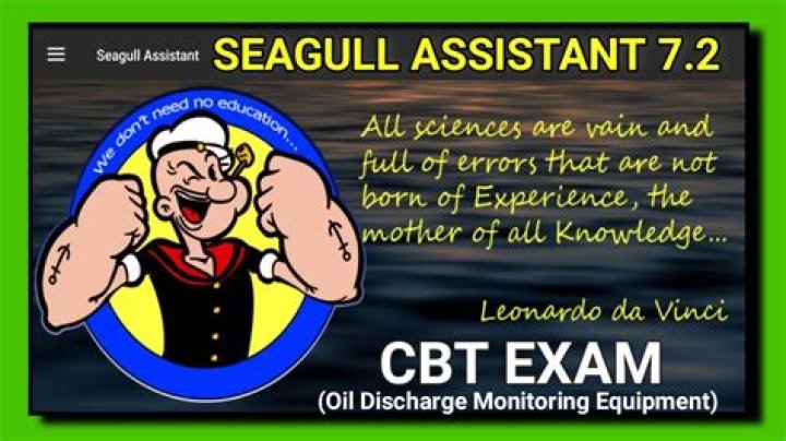 Seagull Assistant CBT Answers PDF: Instant Mental Health Support