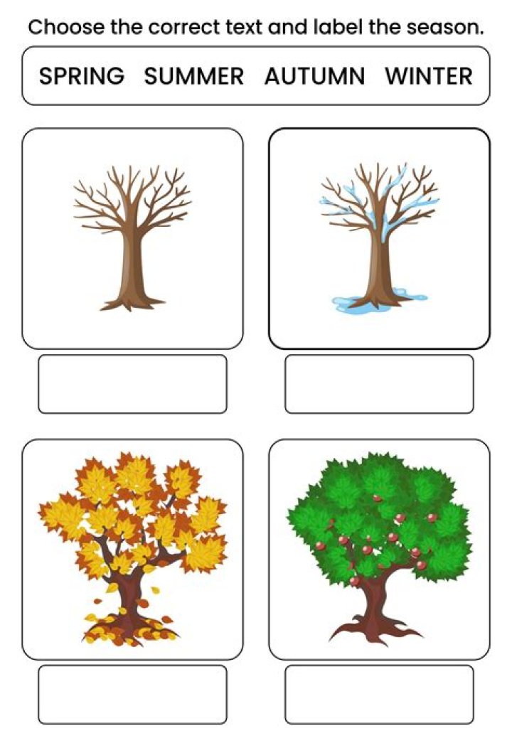 Free Seasonal Worksheets for Kindergarten PDF – Printable Activities
