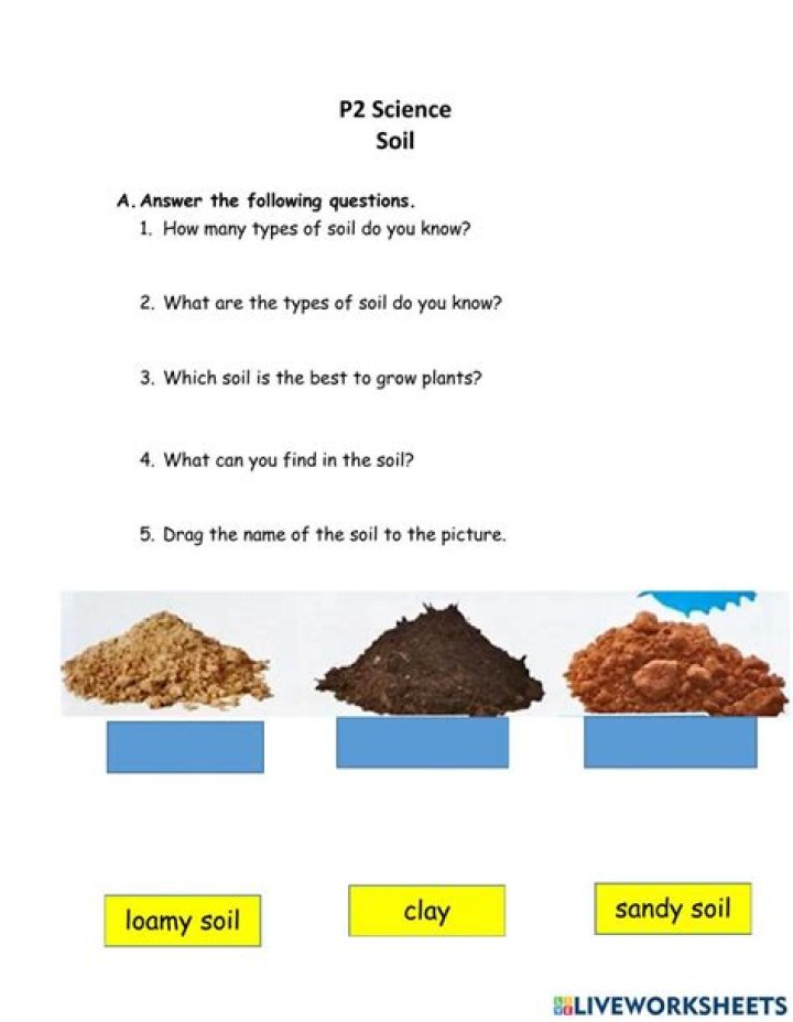 Section 5.2 Soil Answer Key PDF: Complete Study Guide & Answers