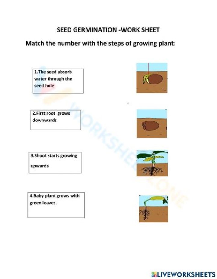 Master Seed Germination: Answer Key Gizmo PDF Guide