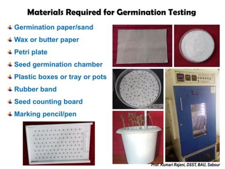 Seed Germination Testing PDF: Complete Guide & Results
