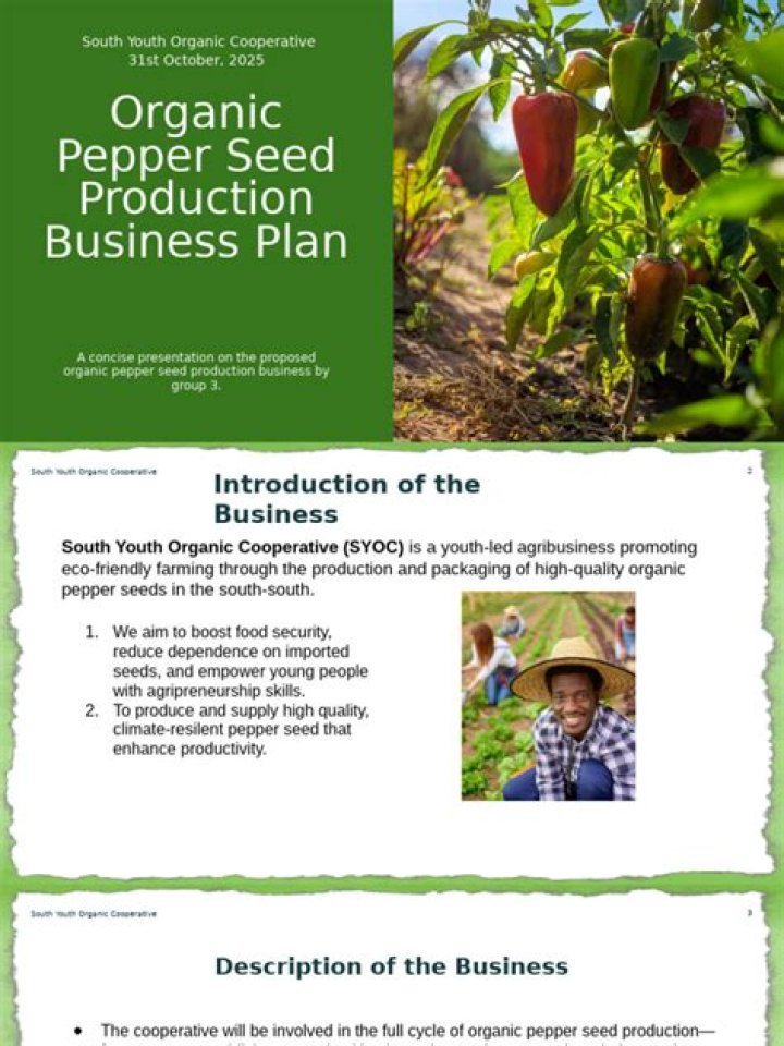 Comprehensive Seed Production Business Plan PDF for Success