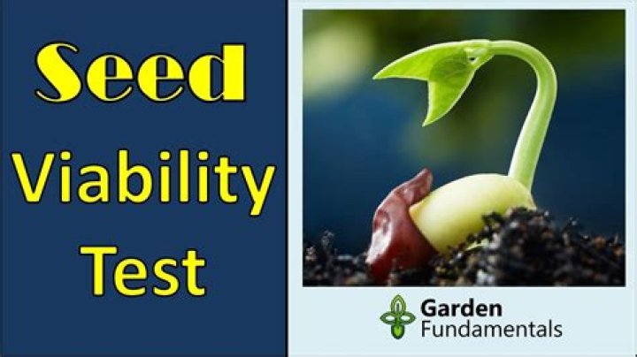 Seed Viability Test PDF: Accurate Results for Plant Success