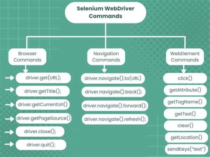 Selenium IDE Commands List with Examples PDF – Learn Quickly