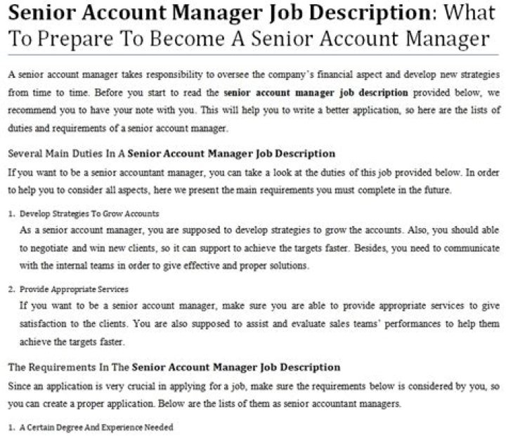Senior Account Manager Job Description PDF – Full Career Guide