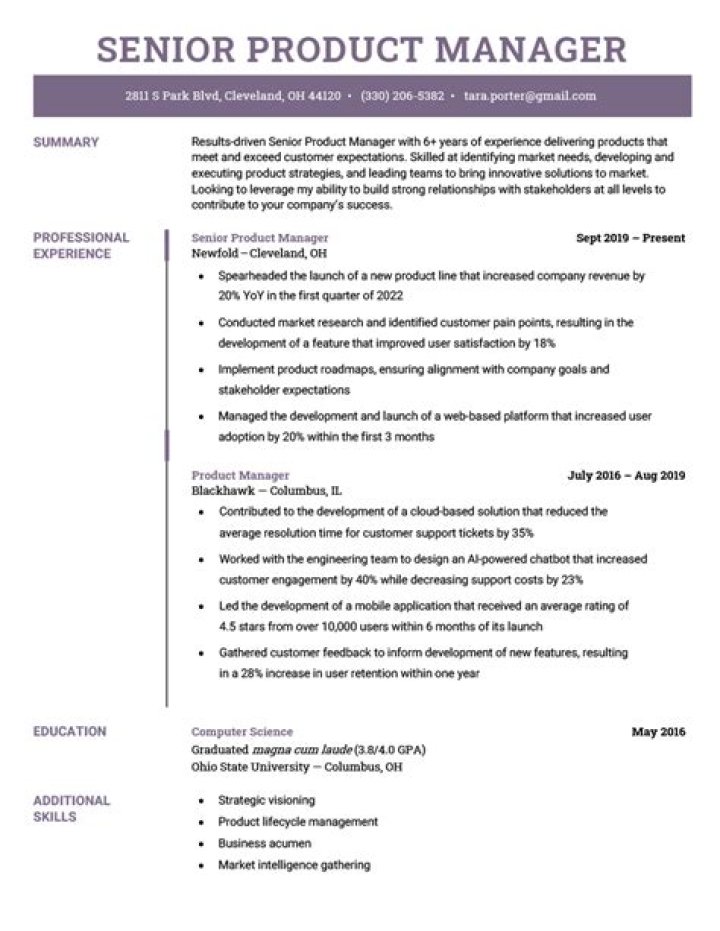 Senior Product Manager Resume PDF Template Download