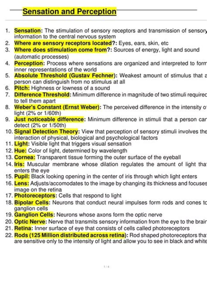 Sensation and Perception Questions & Answers PDF – Expert Guide