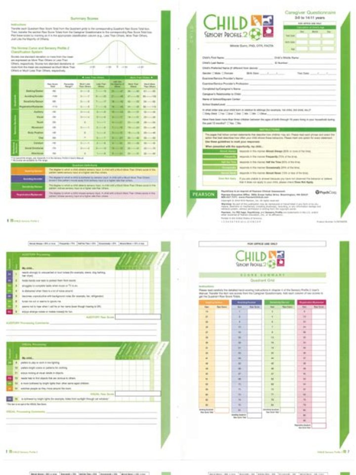 Sensory Profile 2 Scoring Sheet PDF – Professional Evaluation Tool