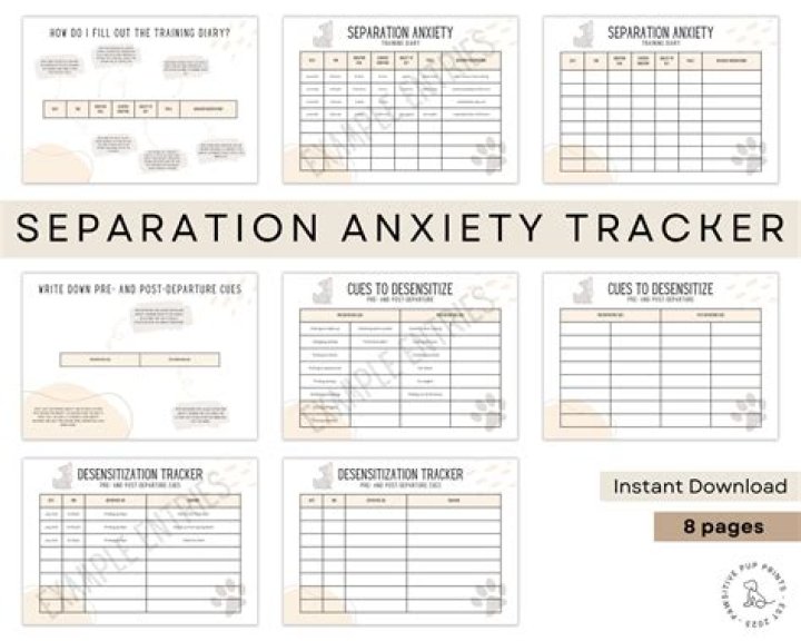 Effective Separation Anxiety Training Plan PDF for Parents