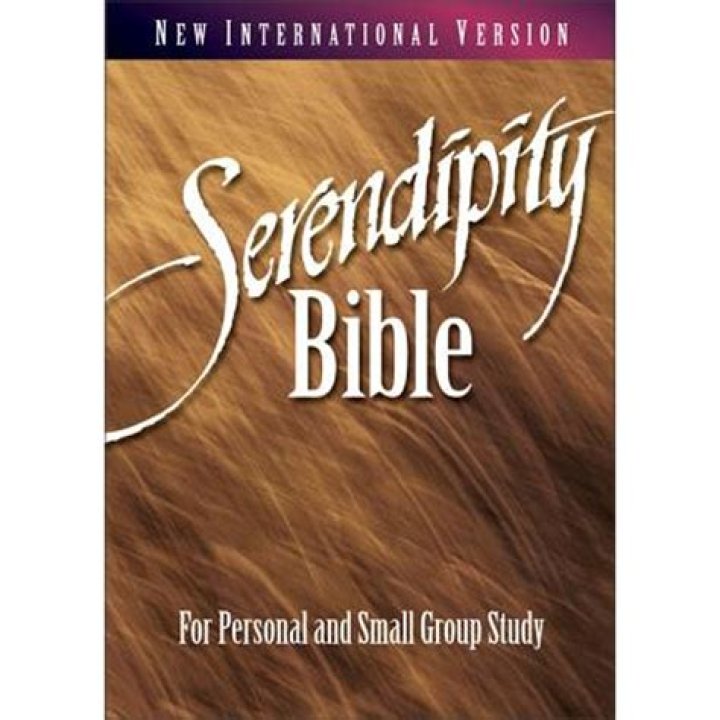 Discover Serendipity: Bible Questions PDF for Spiritual Insight