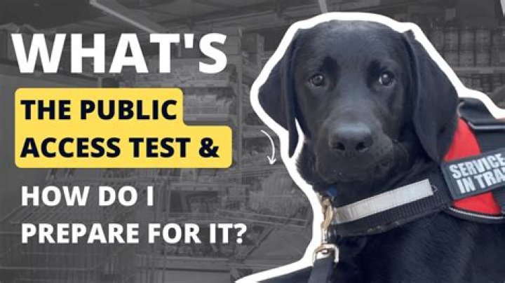Service Dog Public Access Test PDF: Complete Guide & Requirements