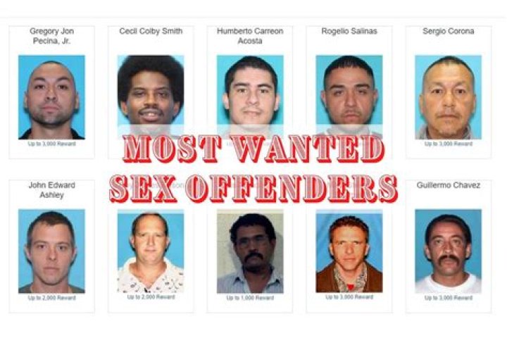 Sex Offenders List South Africa PDF: Official Government Resource