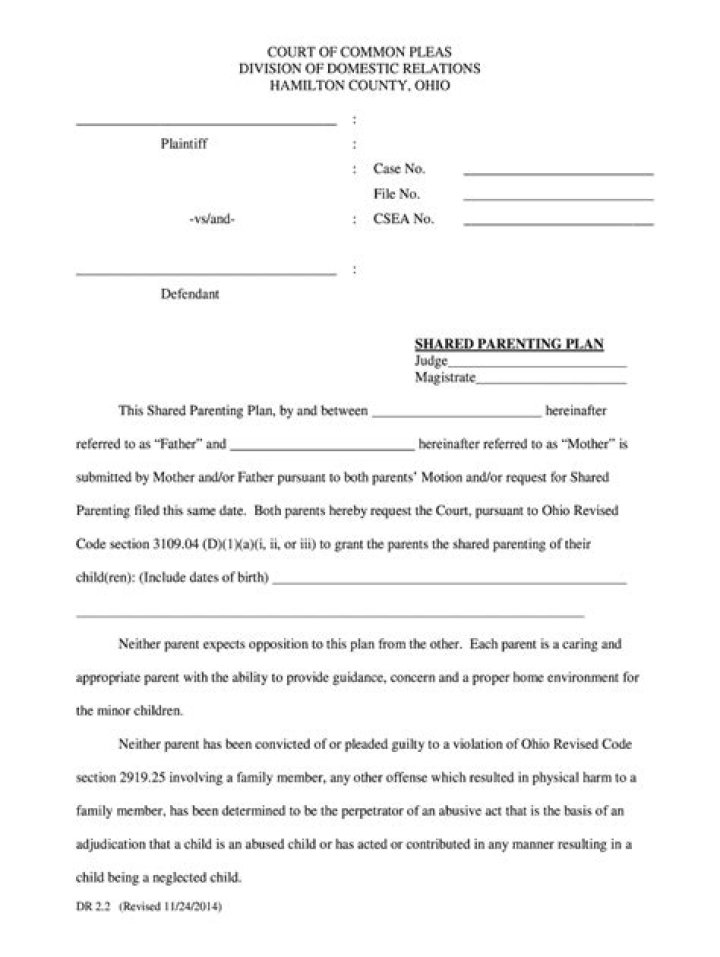 Shared Parenting Plan Ohio PDF: Legal Guidelines & Templates