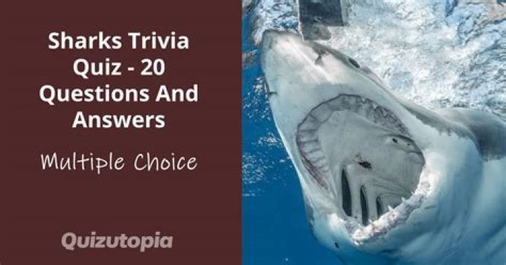 Sharks Quiz Questions & Answers PDF – Download for Fun Learning