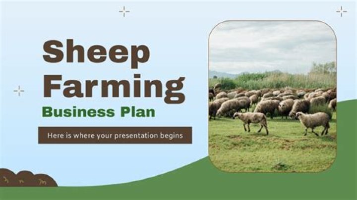 Sheep Business Plan PDF: Step-by-Step Guide for Launching Your Farm