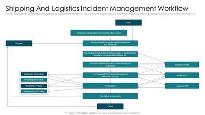 Master Shipping and Logistics Management with Expert PDF Guide