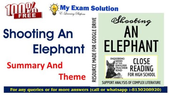 Shooting an Elephant PDF Answers: Expert Guide and Analysis