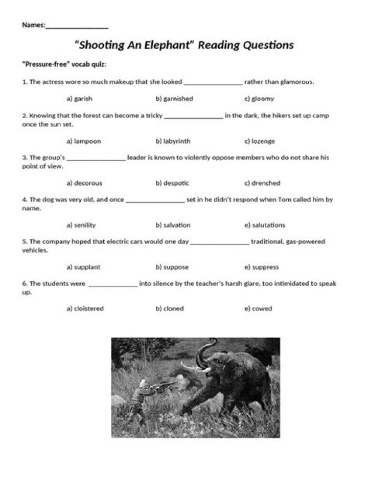 Shooting an Elephant: Expert Answers to Common Questions (PDF Guide)