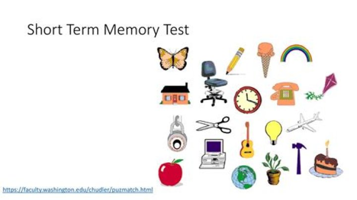 Short-Term Memory Test PDF: Quick & Reliable Assessment