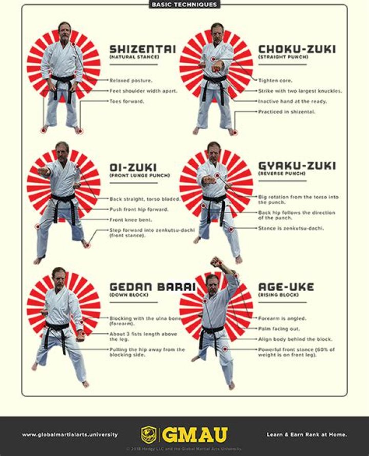 Complete Shotokan Karate Kata List PDF for Beginners & Practitioners