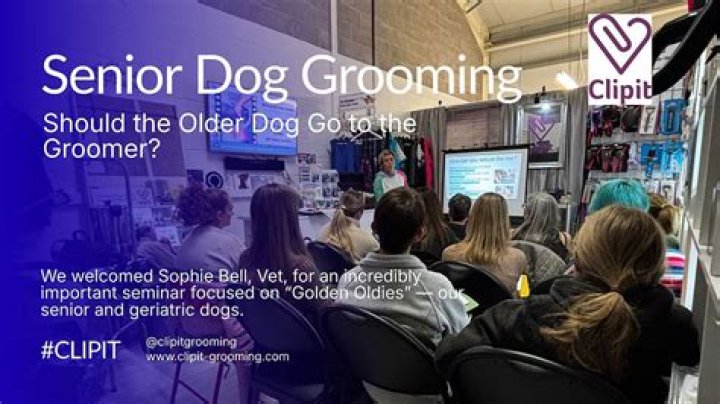 Should older dogs go to groomer?