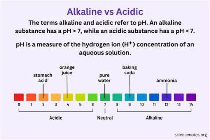 Should shampoo be acidic or alkaline?