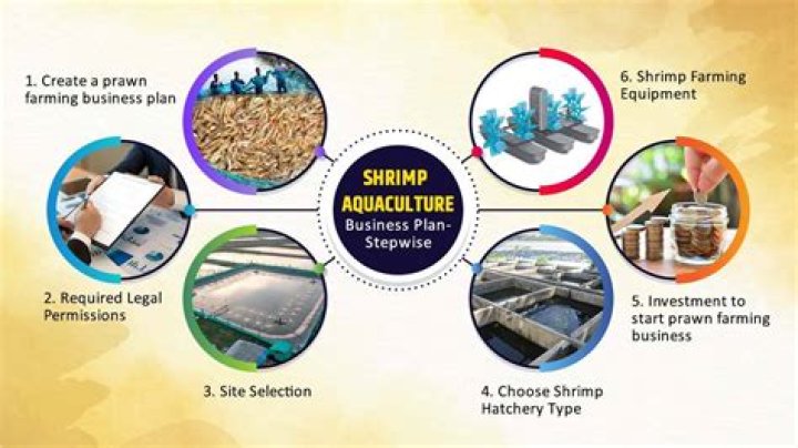 Shrimp Farming Business Plan PDF: Step-by-Step Guide