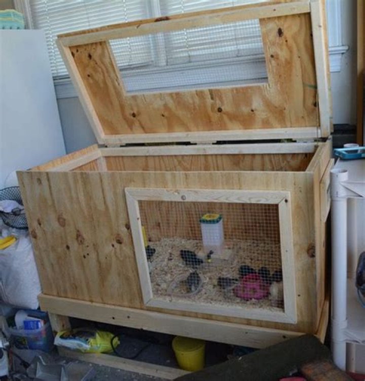 Simple Chicken Brooder Plans PDF – Easy DIY Chicken Housing Guide