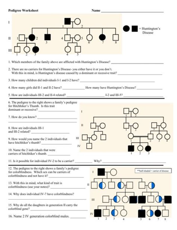 Simple Pedigree Worksheet PDF – Easy Family History Tracking