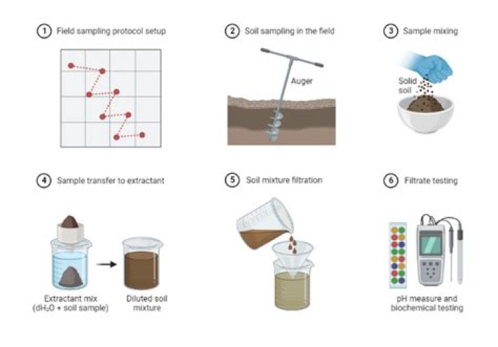 Simple Soil Testing Methods PDF: Quick & Reliable Analysis