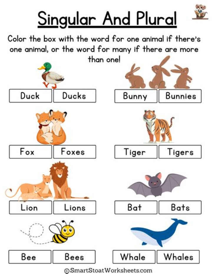 Singular and Plural Worksheets for Kindergarten PDF – Free Printable