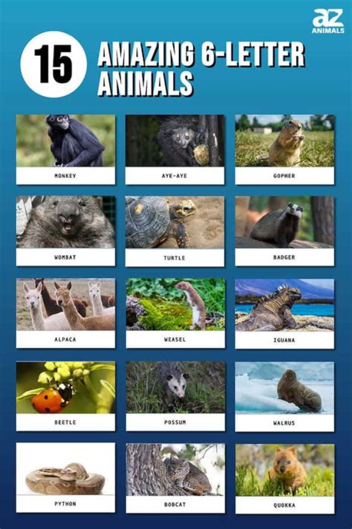 Six-Letter Mammals List PDF: Quick Reference Guide
