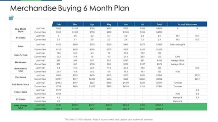 Six Month Merchandising Plan PDF for Retail Success