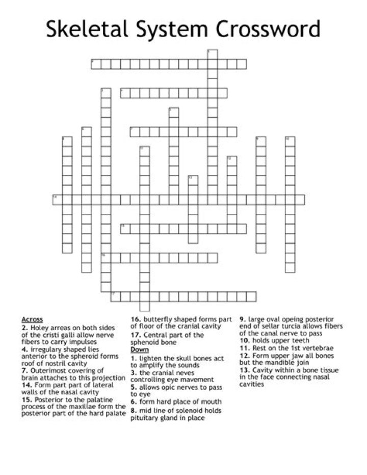 Skeletal System Crossword Puzzle Answer Key PDF for Easy Practice