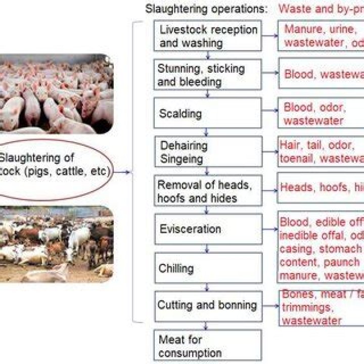 Efficient Slaughterhouse Waste Management: PDF Guide
