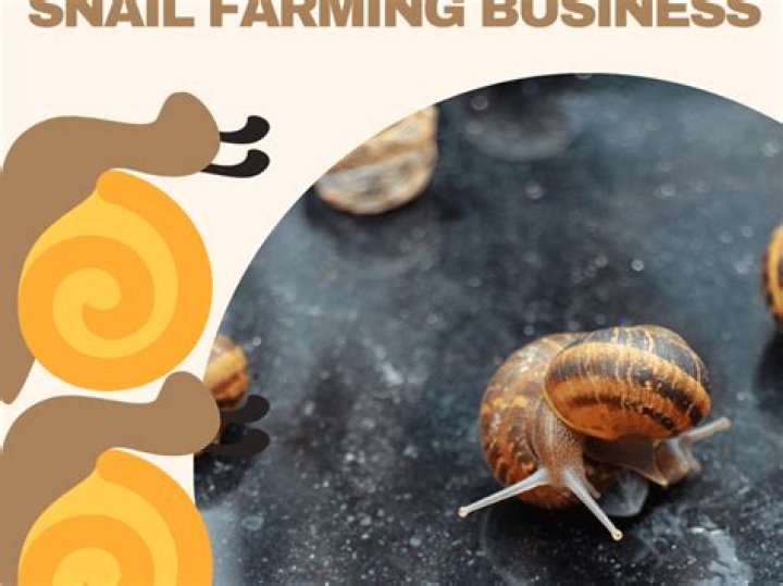 Snail Farming Business Plan PDF: Start Your Profitable Snail Farm Today