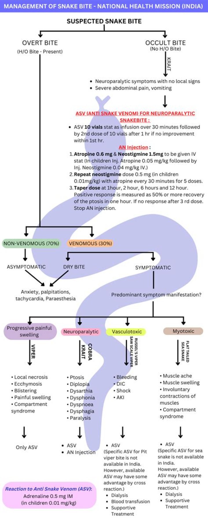 Snake Bite Management PDF: Essential First Aid & Treatment Guide