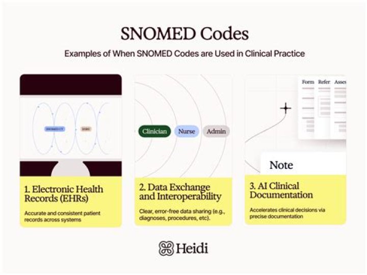 Snomed Codes List PDF: Comprehensive Medical Coding Reference
