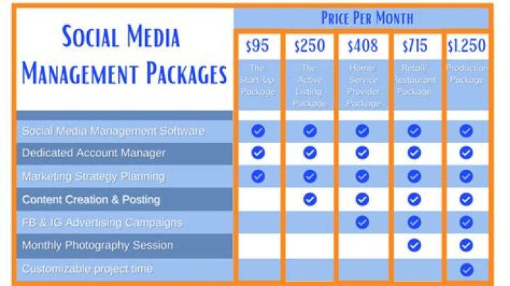 Affordable Social Media Management Pricing Packages PDF Download