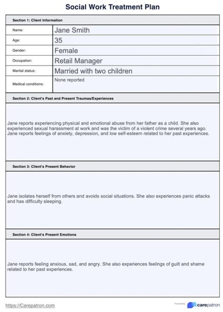 Social Work Treatment Plan Examples PDF: Real Case Studies & Templates