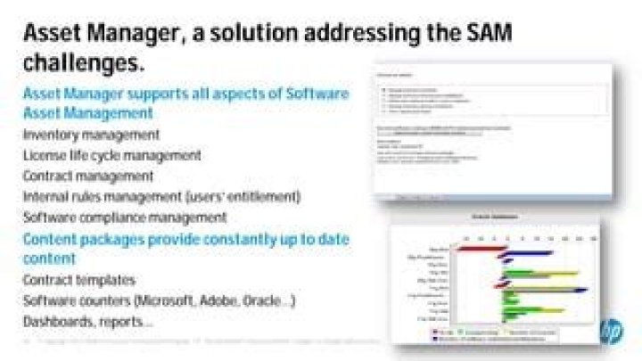 Optimize IT Efficiency: Software Asset Management PDF Guide
