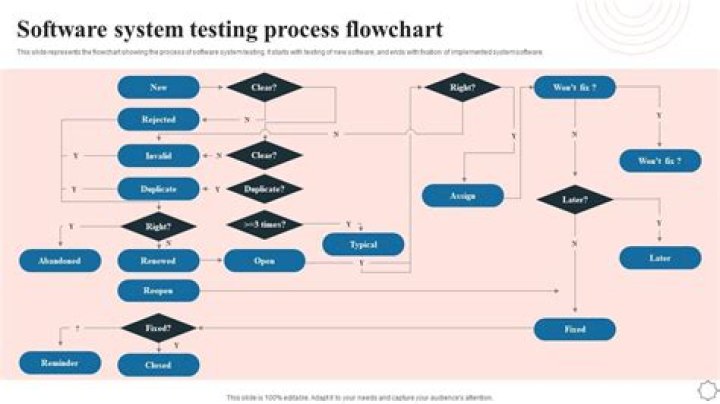 Comprehensive Guide to Software Testing Process PDF